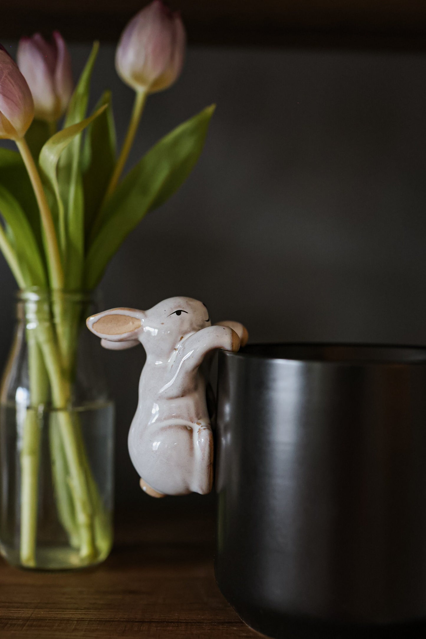 Bunny Rabbit Pot Hugger for Flower Pot • Gardening Gifts • Unique Outdoor Porch Decor • Gift for Wife • Indoor Planter • Hanging Animal