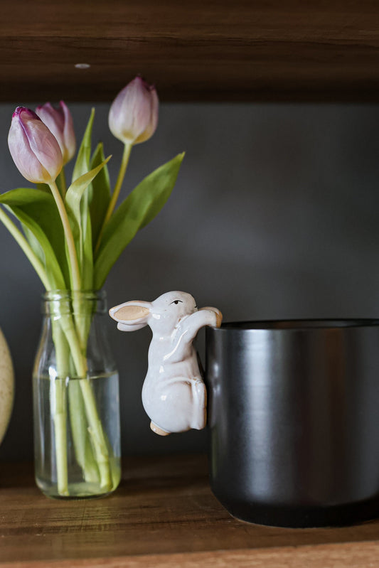 Bunny Rabbit Pot Hugger for Flower Pot • Gardening Gifts • Unique Outdoor Porch Decor • Gift for Wife • Indoor Planter • Hanging Animal